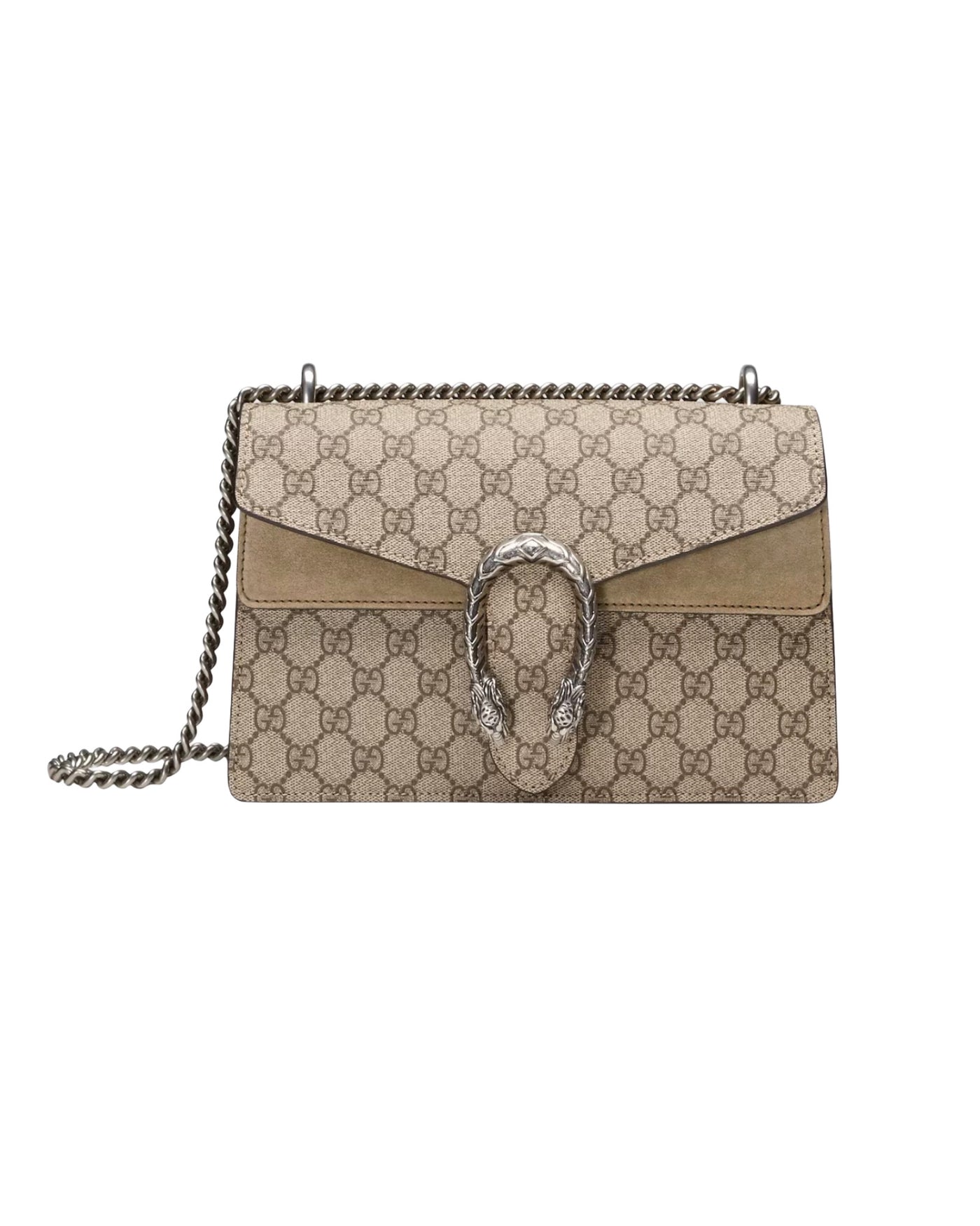 "GG" DIORYSU BAG