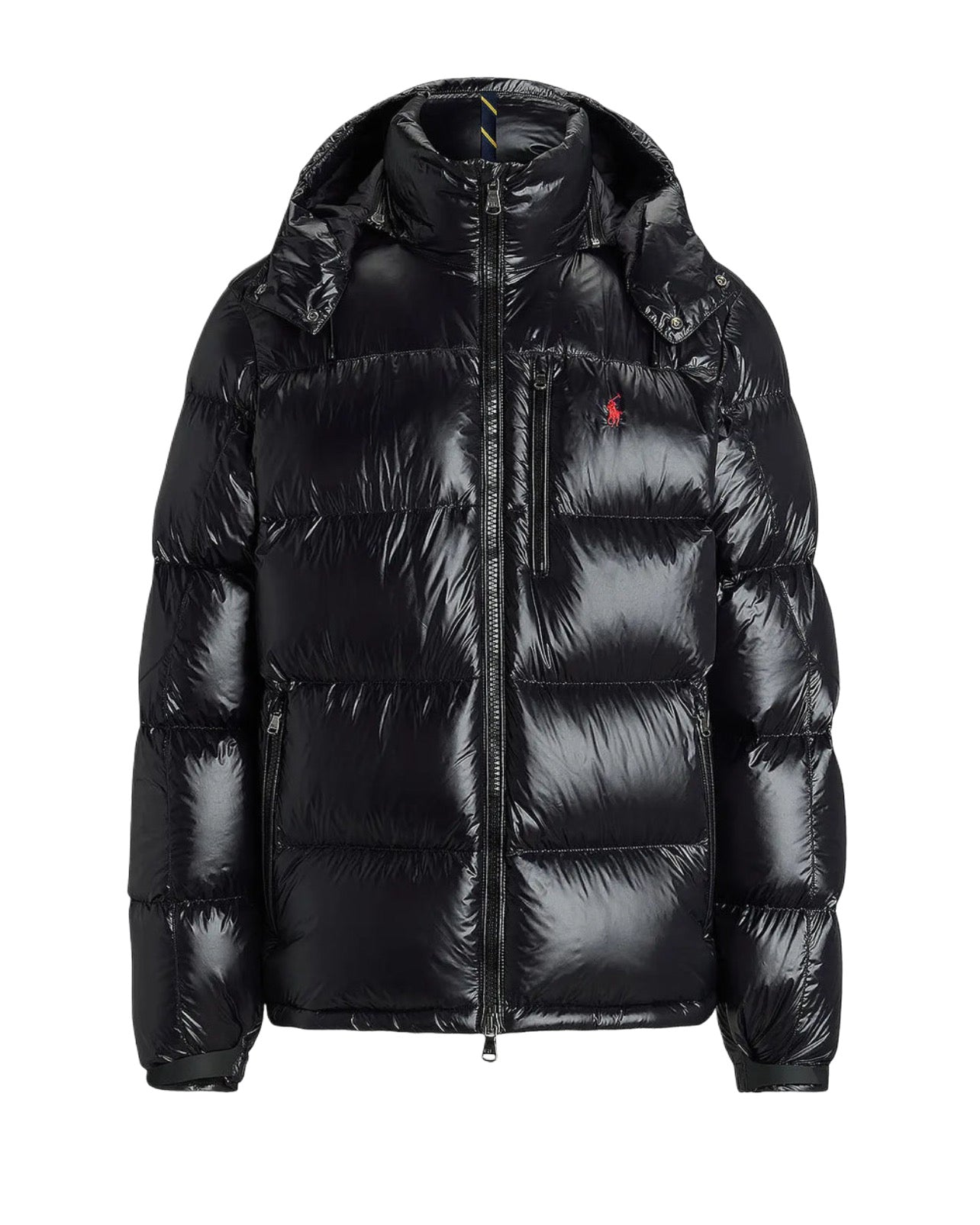 "RL" Shiny Puffer