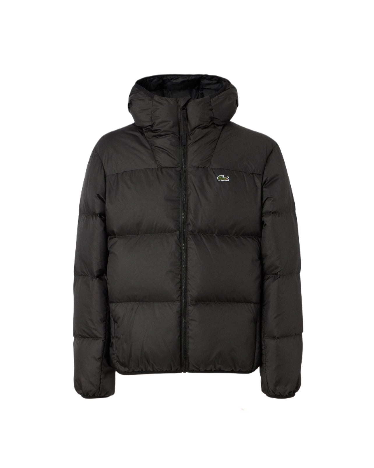 "LACOST" Puffer